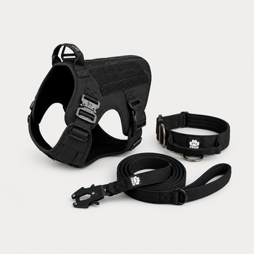 Paw 9 Gear Complete Adventure Combo featuring outdoor gear and accessories for camping, hiking, and outdoor exploration.